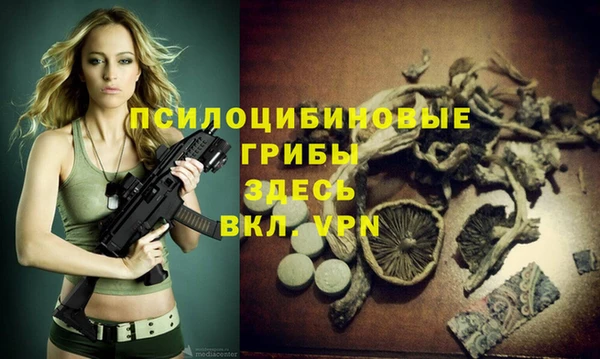 первитин Абинск