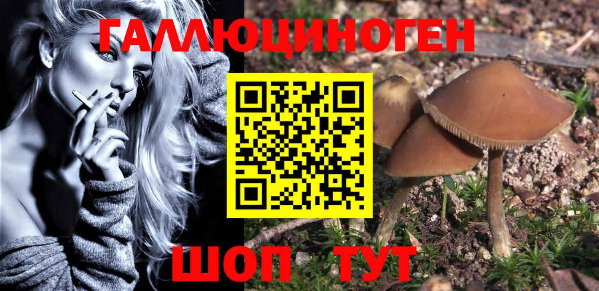 Псилоцибиновые грибы Psilocybine cubensis  Вход с VPN  Благодарный 