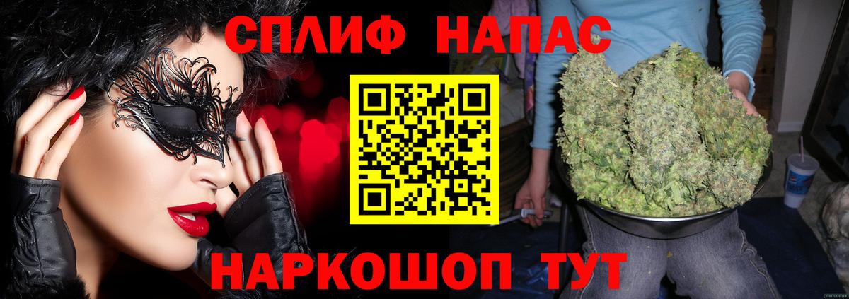 Марихуана OG Kush  Каннабис планчик  МАРИХУАНА семена  Вход с VPN  Бошки Шишки план  Благодарный 